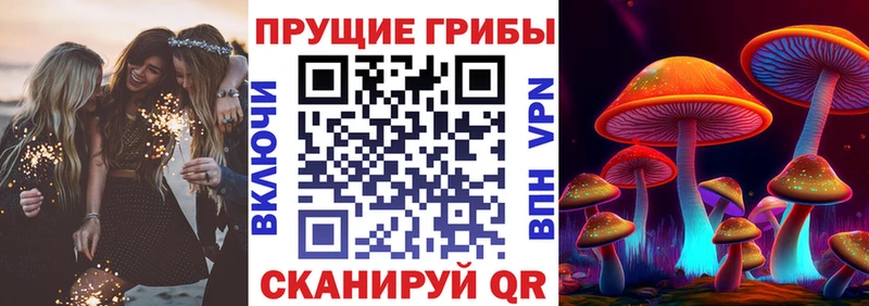 где можно купить   Бавлы  Галлюциногенные грибы MAGIC MUSHROOMS 